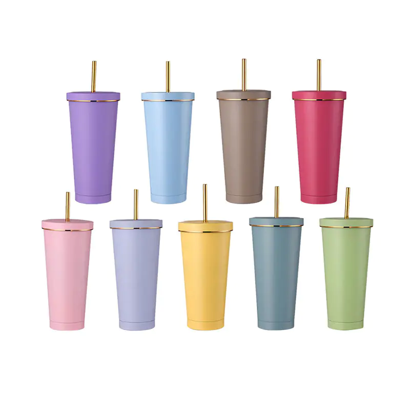 Stainless Steel Tumbler with Straw Double Wall Travel Cup